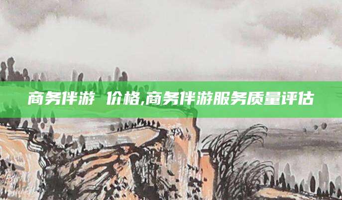 三亚商务伴游 价格,商务伴游服务质量评估